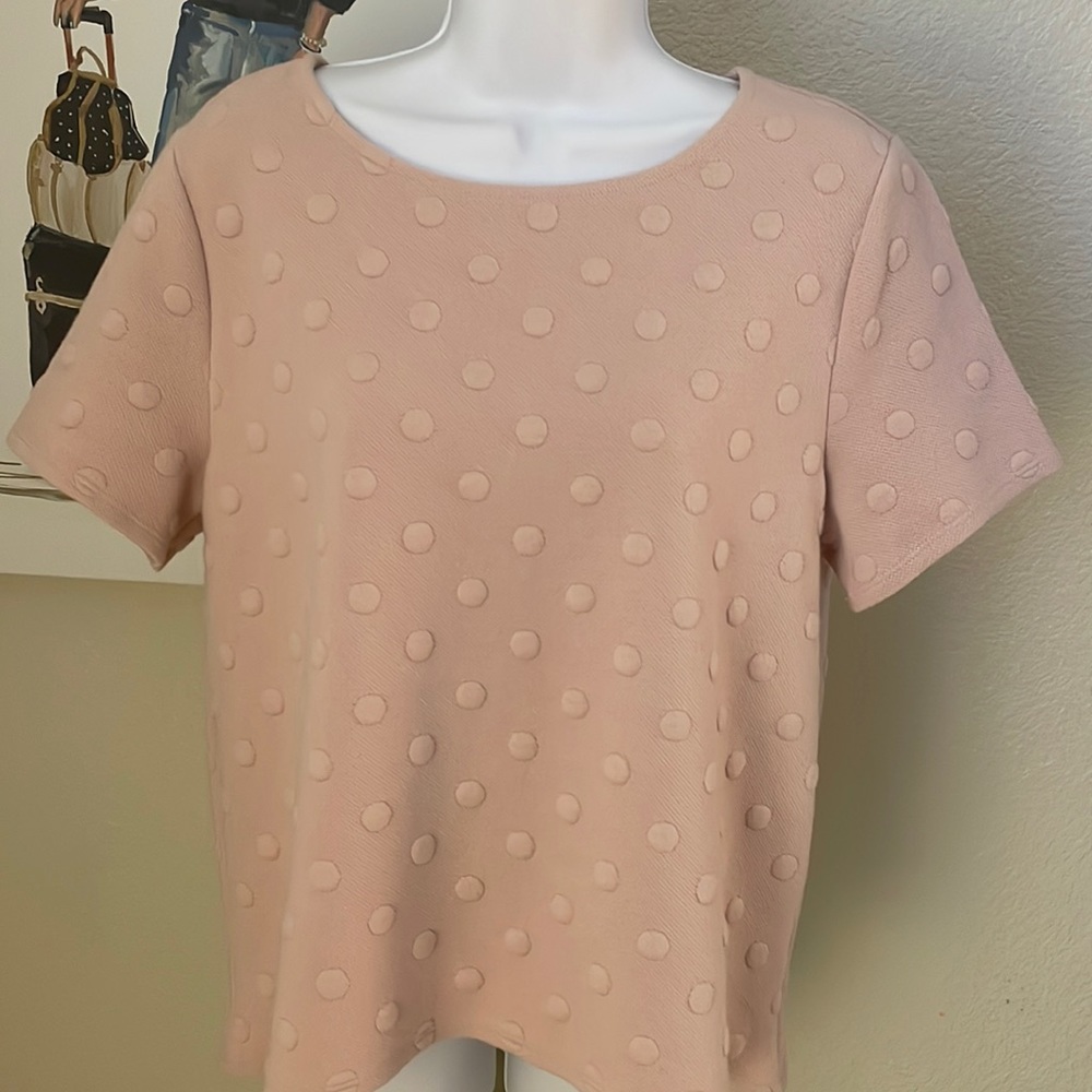 W5 size M pink dusty rose color dotted short sleeve knit top